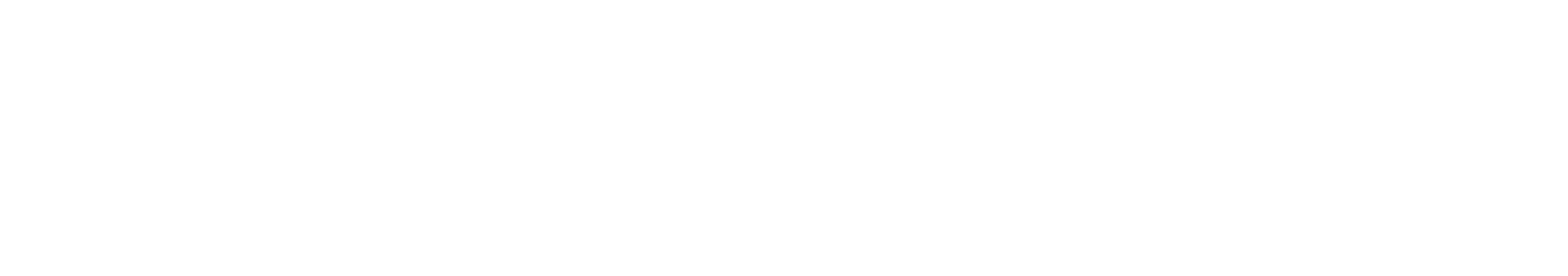 Payzoplus
